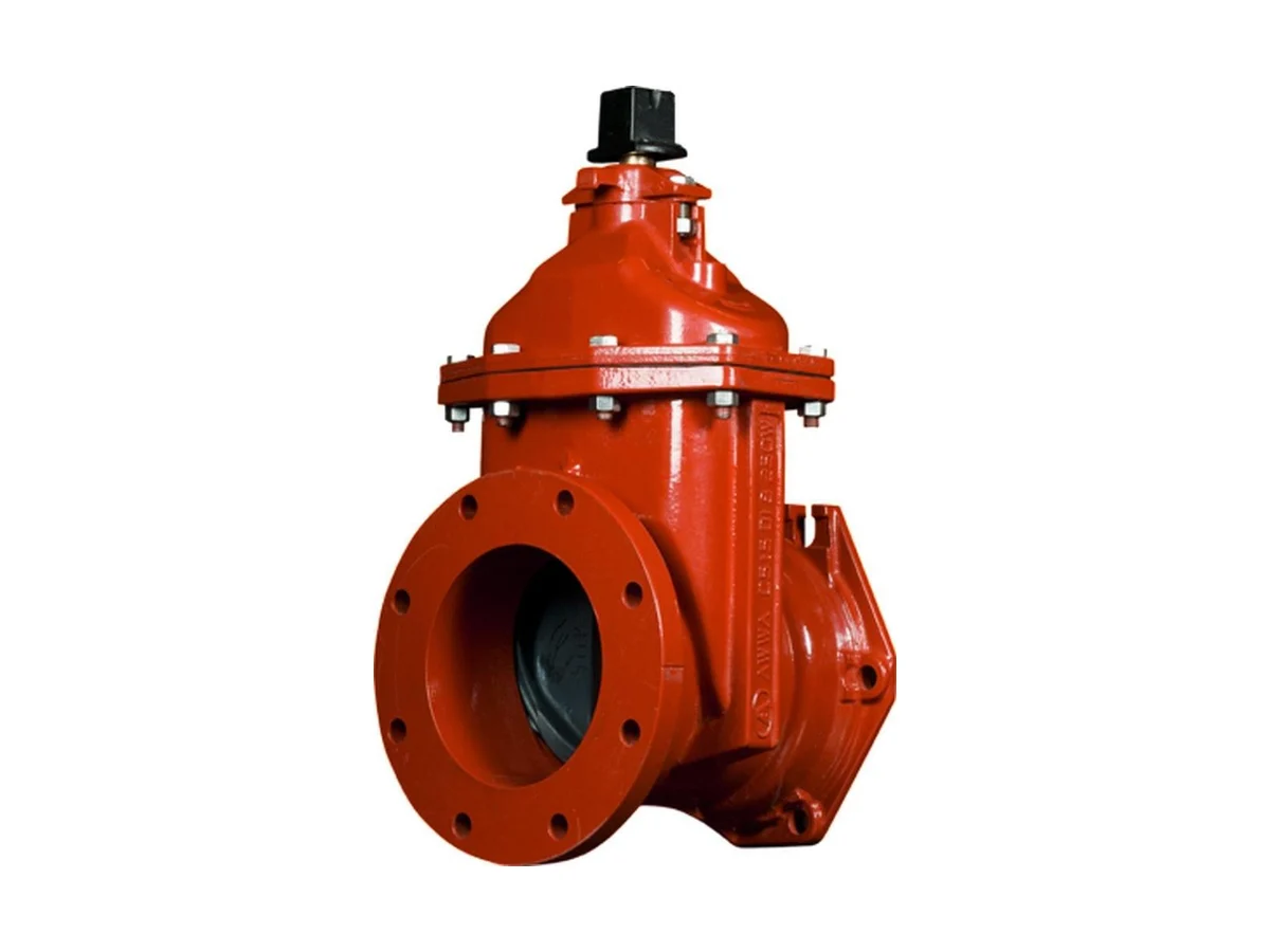 American Flow Control 2506ALAFFM Resilient wedge gate valve