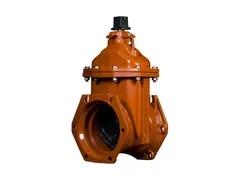 American Flow Control 2506ALAFMM Resilient wedge gate valve