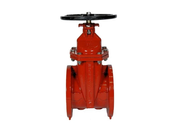 American Flow Control 2506ALAGFM Resilient wedge gate valve