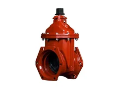 American Flow Control 2506ALAGMM Resilient wedge gate valve