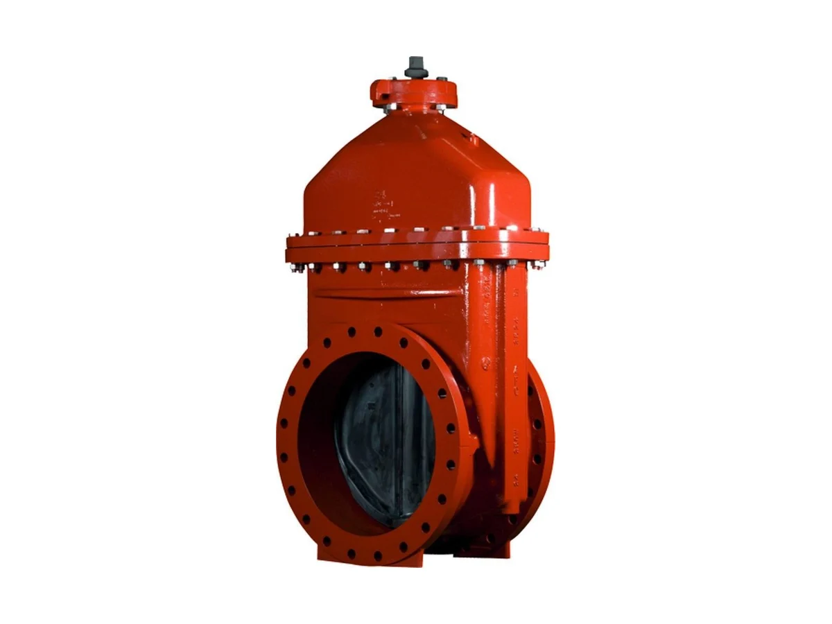 American Flow Control 2514ALAFFF Resilient wedge gate valve
