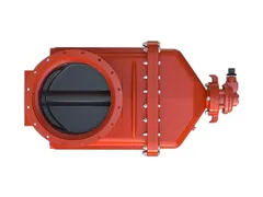 American Flow Control AFC2524MMLAOLBG Mechanical joint gate valve