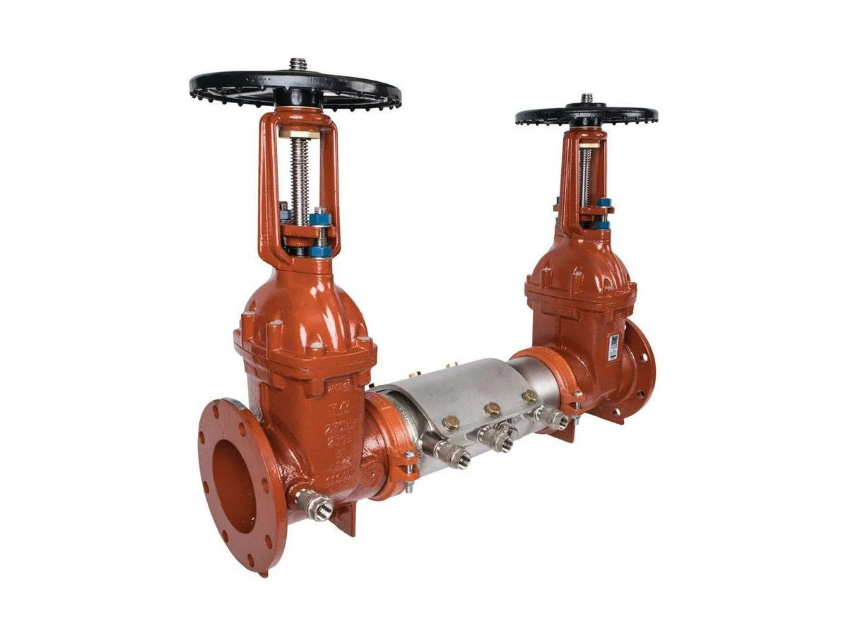 Ames Fire & Waterworks D-6020G Steel flanged backflow preventer