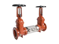 Ames Fire & Waterworks D-8020G Steel flanged backflow preventer