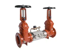 Ames Fire & Waterworks D-8030G-GPM Steel flanged backflow preventer