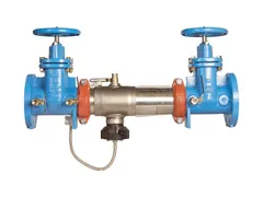 Ames Fire & Waterworks F0191290 Steel flanged backflow preventer