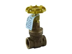 Apollo Valves 30LF03701 Port npt gate valve
