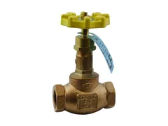 Apollo Valves 33LF13701 Bronze npt globe valve