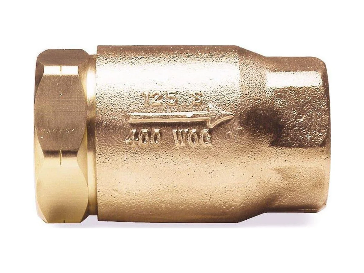 Apollo Valves 6150101 X mnpt check valve