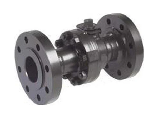 Balon Corporation 2R-F63N-RF Ball valve