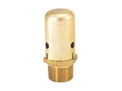 Bell & Gossett 113075 Psig bfp vacuum breaker