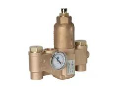 Bradley Corporation S19-2250 Npt thermostat mixing valve