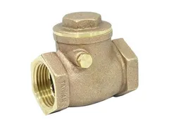 Brecco 700-225-00060 Threaded swing check valve