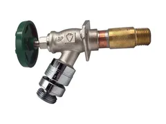 Champion-Arrowhead 486-02LF X mght wall hydrant