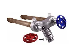 Champion-Arrowhead 496-10LF And sweat wall hydrant