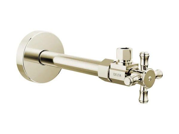 Delta Faucet DT022202-PN Valve in polished nickel