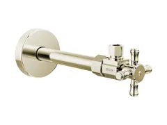 Delta Faucet DT022202-PN Valve in polished nickel
