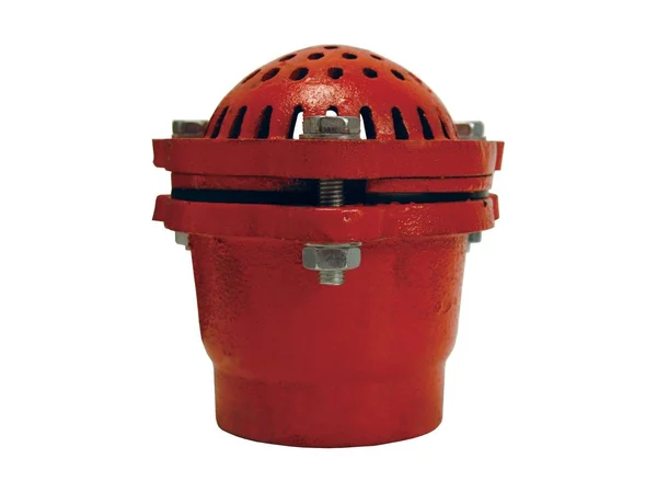 Dixon Valve & Coupling DFVS25 Iron fnpt foot valve