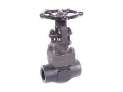 DSI Forum Energy Technologies 4103-A5-18 1/2 X fpt gate valve
