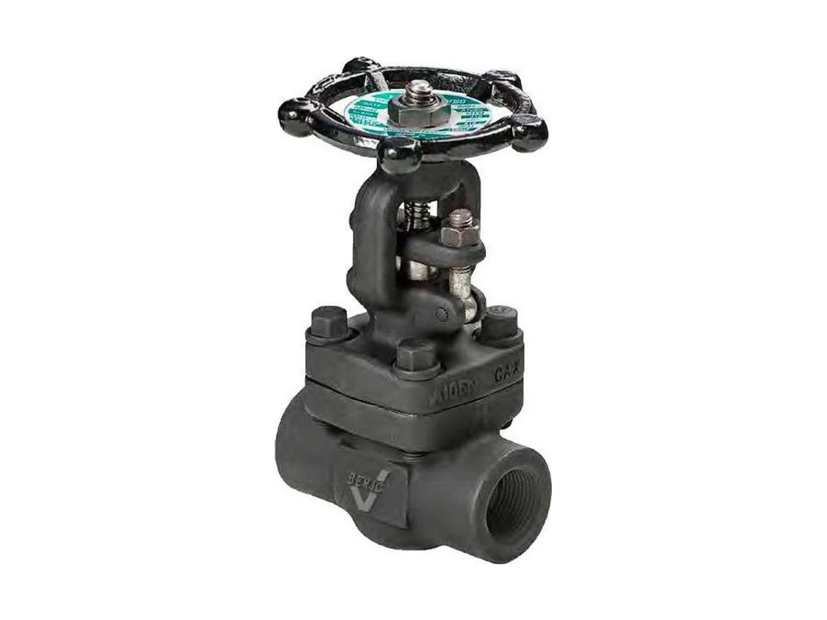 DSI Forum Energy Technologies 4223-A5-18 3/4 Steel threaded globe valve