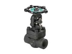 DSI Forum Energy Technologies 4223-A5-18 3/4 Steel threaded globe valve