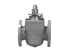 Flowserve 20251212186 Gear operator plug valve