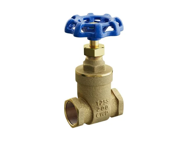 FNW 1211 Npt nrs gate valve