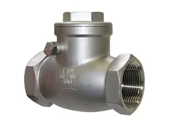 FNW 16B-200 Steel npt check valve