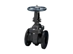 FNW 552 Gate valve with handwheel