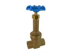 FNW FNW1222D Rising stem gate valve