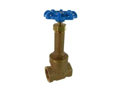 FNW FNW310ASEKJK Stem npt gate valve