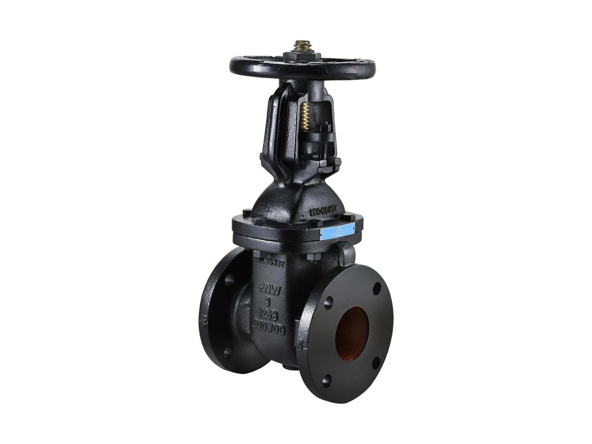 FNW FNW651BL Iron flanged gate valve