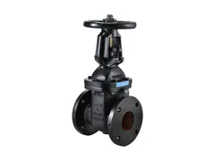 FNW FNW651BL Iron flanged gate valve
