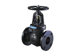 FNW FNW661BM Iron flanged globe valve