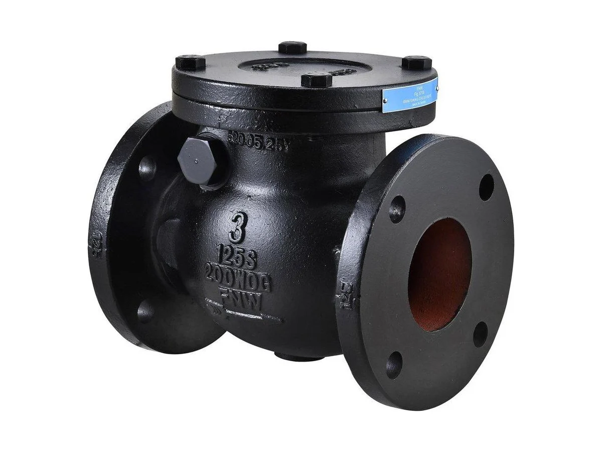 FNW FNW671BU Iron flanged check valve
