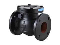 FNW FNW671BU Iron flanged check valve