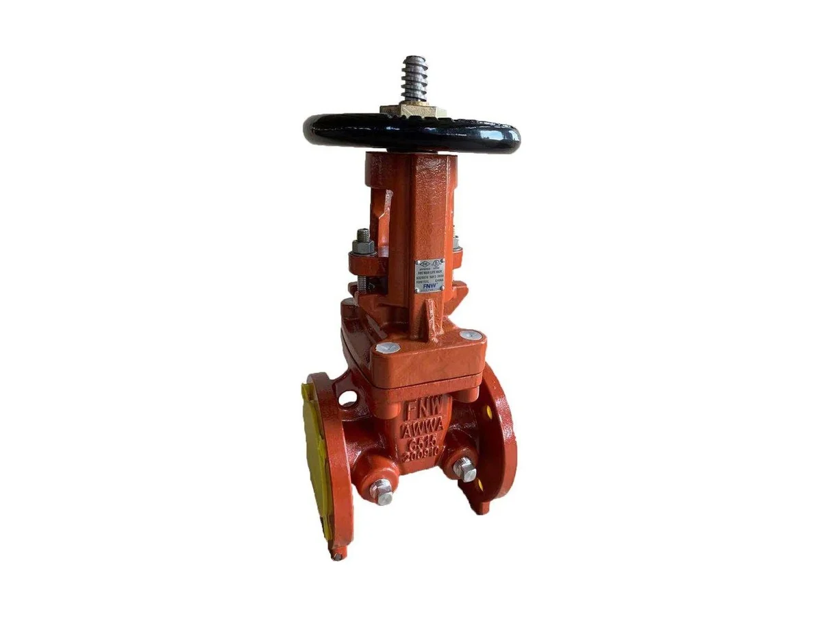 FNW FNW751L Iron flanged gate valve