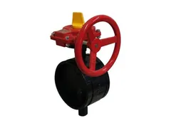 FNW RXD381X D219 Gear operator butterfly valve