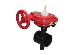 FNW RXD381XG D73 Gear operator butterfly valve