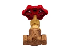 FPPI TrimFit 4324000306 Bronze ips globe valve
