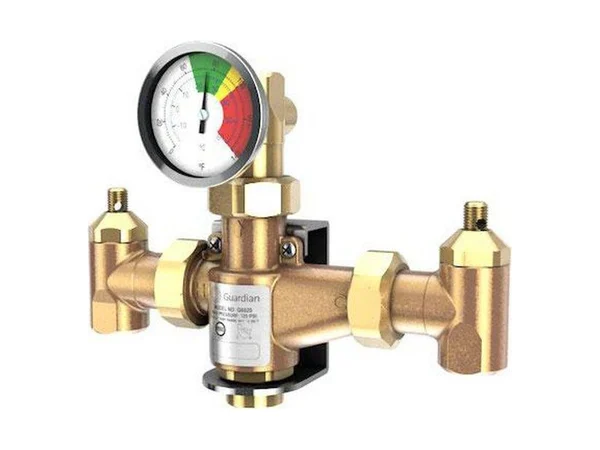 Guardian Equipment G6020 Fnpt thermostat mixing valve