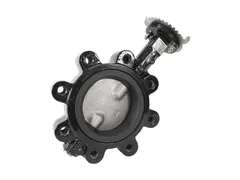 JomarValve 600-02DSPL Lever handle butterfly valve