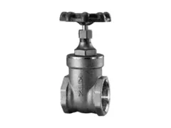 Kitz 07-200 Brass fnpt gate valve