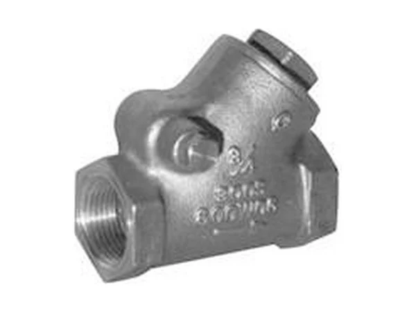 Kitz 19-100 Fnpt swing check valve