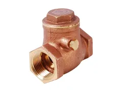 Legend Valve & Fitting 105-107 Npt swing check valve