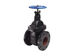 Legend Valve & Fitting 116-106 Iron flanged gate valve