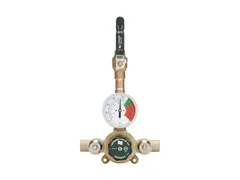 Leonard Valve Eco-Mix XL82LFBDT Outlet thermostat mixing valve