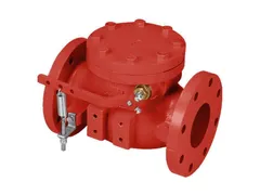 Mueller Company A26006BBLS Spring check valve