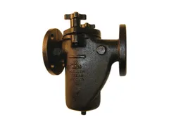 Mueller Steam Specialty M6701304 Iron flanged valve strainer