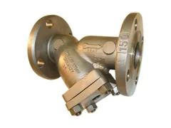 Mueller Steam Specialty M6701497 Steel valve wye strainer